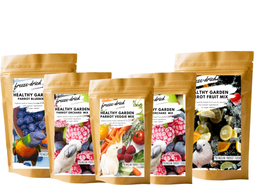 Zestaw 5 szt Zdrowych Smakołyków od Premium Parrot Food w cenie 4 szt - 1 Opakowanie GRATIS  od ParrotPlanet.pl