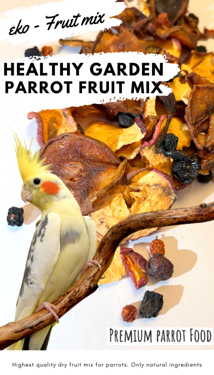 Premium Parrot Food - Healthy Garden Fruit Mix - dla wszystkich papug 100g od ParrotPlanet.pl