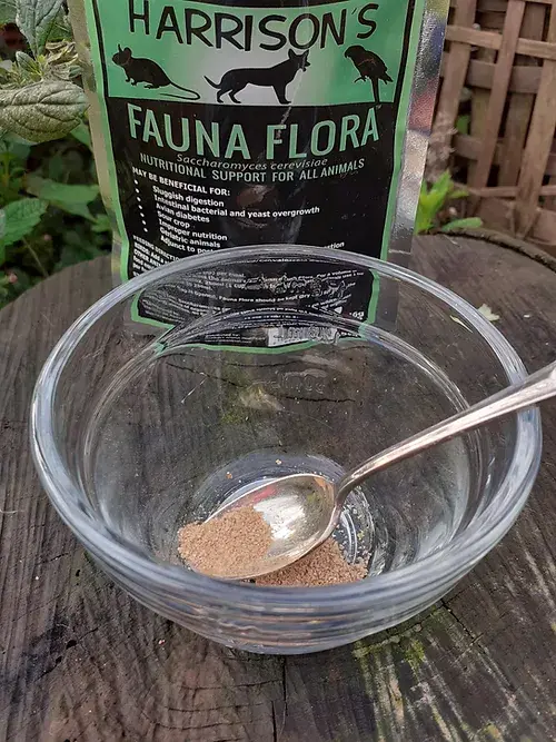 Harrison's Fauna Flora - pokarm uzupełniający dla chorych, bądź osłabionych papug 56g od ParrotPlanet.pl