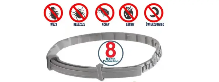 Obroża Przeciw kleszczom i pchłom | Antykleszczowa | dla psów | bezpieczna | na 8 miesięcy |rozm. L/XL do 70 cm od ParrotPlanet.pl
