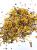 Polly's Natural Golden Blossom Organic - Ziołowa herbatka dla papug 100g od ParrotPlanet.pl