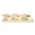 Trening - zabawka dla wszystkich papug od ParrotPlanet.pl