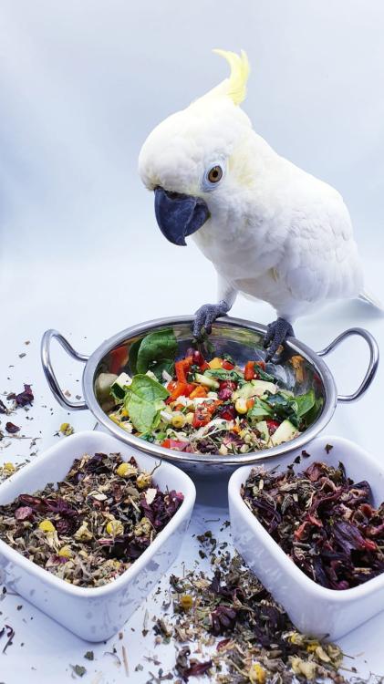 Polly's Nature Boost - Organiczna herbatka dla papug 50g od ParrotPlanet.pl