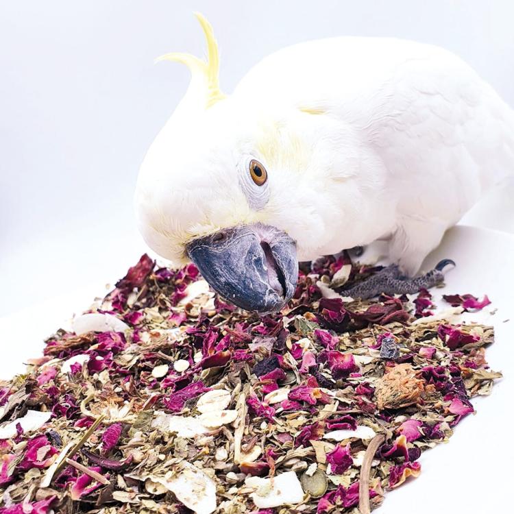 Polly`s Natural Organic - Mieszanka Organiczna dla wszystkich Papug 300g od ParrotPlanet.pl