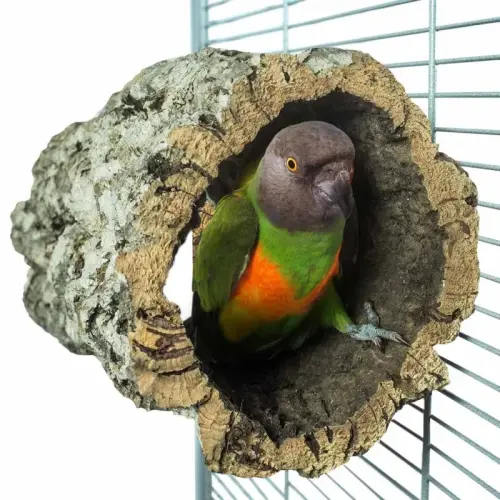 Perchoir ou Grotte Liège Naturel Taille M Perroquets Moyens od ParrotPlanet.fr