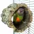 Perchoir ou Grotte Liège Naturel Taille M Perroquets Moyens od ParrotPlanet.fr