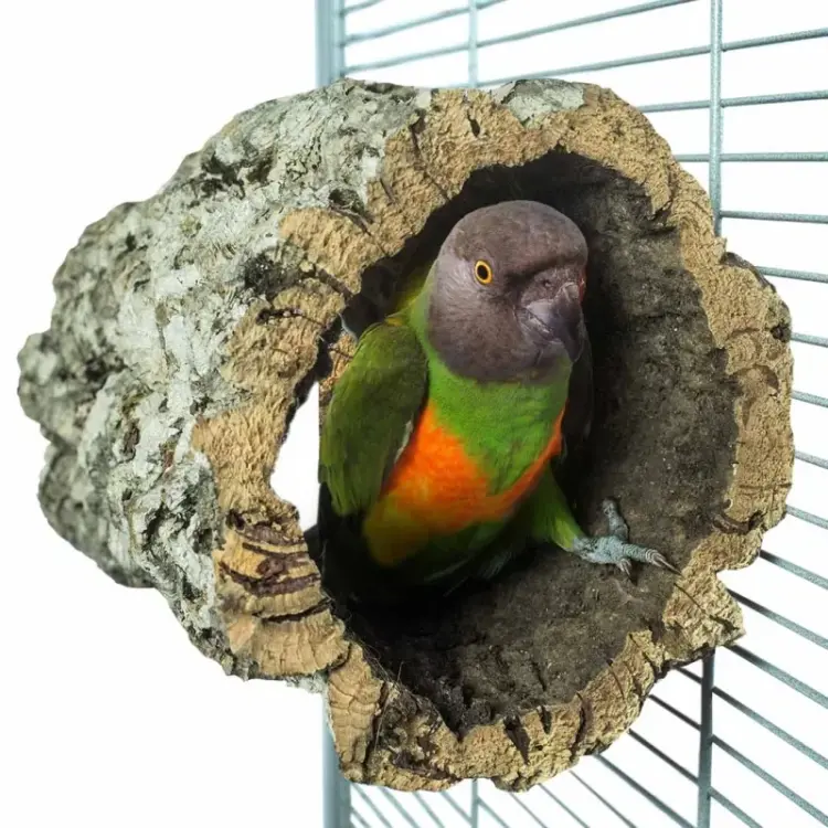 Perchoir ou Grotte Liège Naturel Taille M Perroquets Moyens od ParrotPlanet.fr