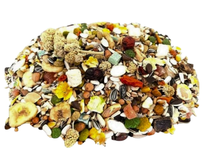 Vogelhof Papegaai Select - Pokarm z granulatem dla Żako 1 KG od ParrotPlanet.pl