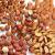 Your Parrot Wild Nuts No Shells Parrot Treat - mix orzechowy bez skorupek dla średnich i dużych 1 kg od ParrotPlanet.pl