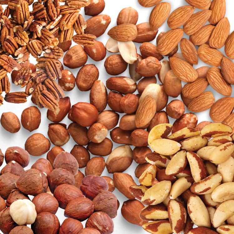 Your Parrot Wild Nuts No Shells Parrot Treat - mix orzechowy bez skorupek dla średnich i dużych 1 kg od ParrotPlanet.pl