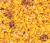 Your Parrot Soft Eggfood Gold - pokarm jajeczny dla dużych papug 1 kg od ParrotPlanet.pl