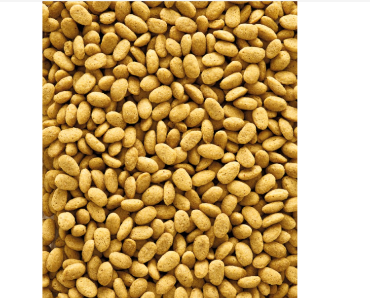 Versele Laga P19 Original 10kg - granulat na okres lęgowy dla dużych papug od ParrotPlanet.pl