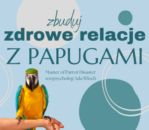 Poradnik ParrotPlanet - ZBUDUJ ZDROWE RELACJE Z PAPUGAMI - Poradnik Początkującego Papuziarza od ParrotPlanet.pl