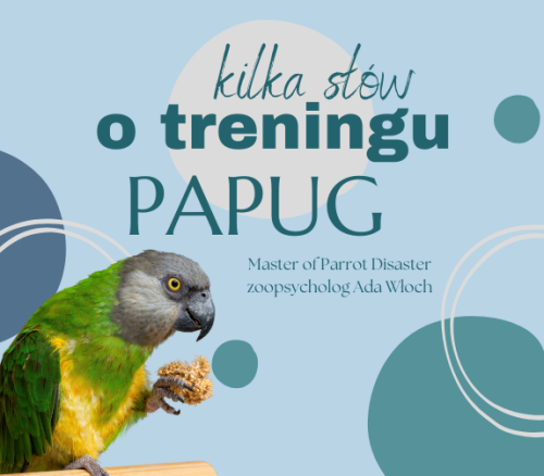 Poradnik ParrotPlanet - TRENING Z PAPUGAMI - Poradnik Początkującego Papuziarza od ParrotPlanet.pl