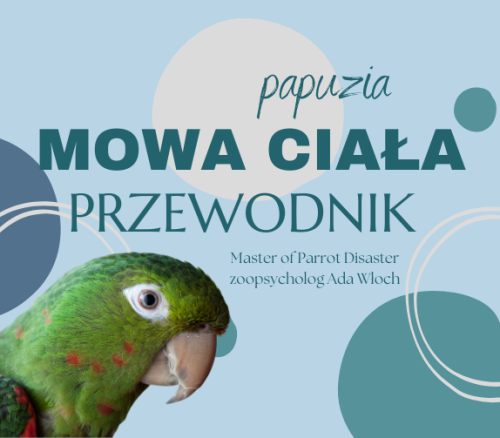 Przewodnik ParrotPlanet - PAPUZIA MOWA CIAŁA - Poradnik Początkującego Papuziarza od ParrotPlanet.pl