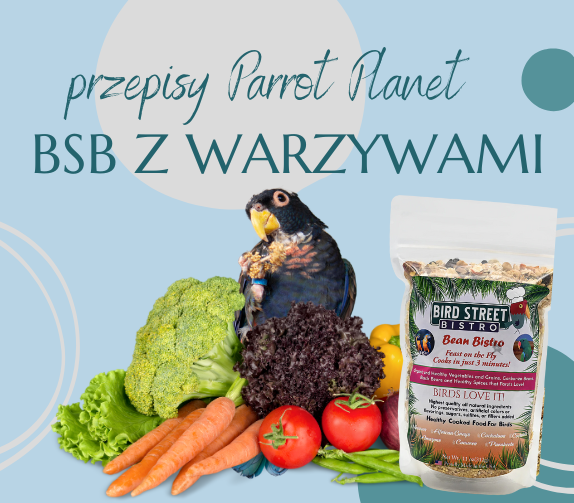 PAPUZIA Kuchnia ParrotPlanet- Bird Street Bistro z Warzywami - Autorski Przepis Adzioszki z Parrot Disaster od ParrotPlanet.pl