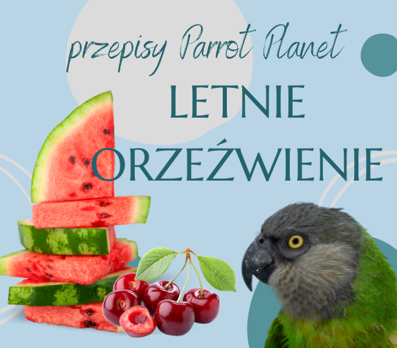 PAPUZIA Kuchnia ParrotPlanet- Letnie Orzeźwienie - Autorski Przepis Adzioszki z Parrot Disaster
