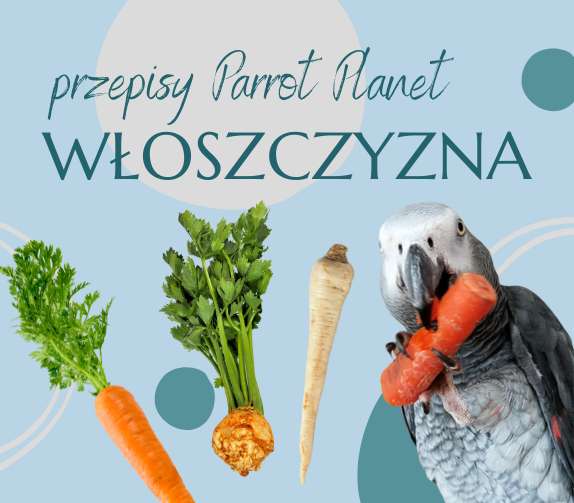 PAPUZIA Kuchnia ParrotPlanet- Włoszczyzna - Autorski Przepis Adzioszki z Parrot Disaster