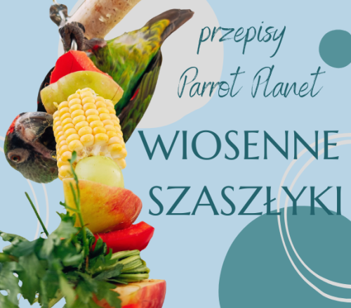 PAPUZIA Kuchnia ParrotPlanet- Wiosenne Szaszłyki - Autorski Przepis Adzioszki z Parrot Disaster