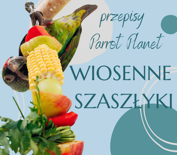 PAPUZIA Kuchnia ParrotPlanet- Wiosenne Szaszłyki - Autorski Przepis Adzioszki z Parrot Disaster