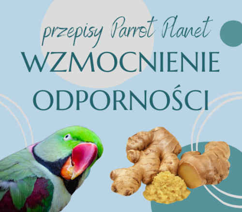 PAPUZIA Kuchnia ParrotPlanet- Wzmocnienie Odporności - Autorski Przepis Adzioszki z Parrot Disaster