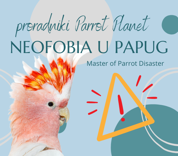 Poradnik ParrotPlanet - NEOFOBIA I NEOFILIA - Poradnik Początkującego Papuziarza