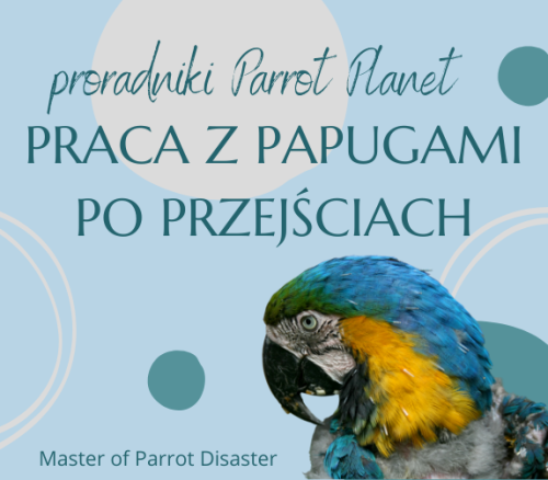Poradnik ParrotPlanet - PRACA Z PAPUGAMI PO PRZEJŚCIACH - Poradnik Początkującego Papuziarza