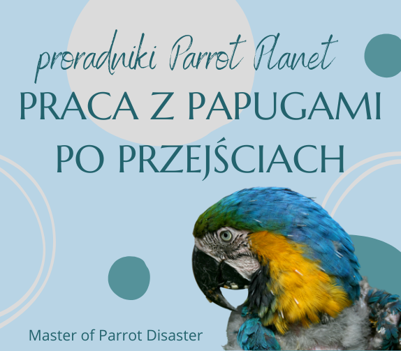 Poradnik ParrotPlanet - PRACA Z PAPUGAMI PO PRZEJŚCIACH - Poradnik Początkującego Papuziarza