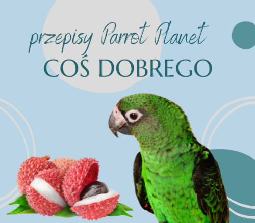 PAPUZIA Kuchnia ParrotPlanet- COŚ DOBRGO - Autorski Przepis Adzioszki z Parrot Disaster