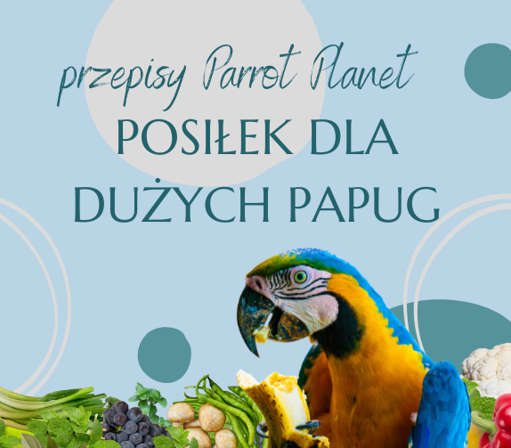PAPUZIA Kuchnia ParrotPlanet- WARZYWA I KIEŁKI DLA DUŻYCH PAPUG - Autorski Przepis Adzioszki z Parrot Disaster