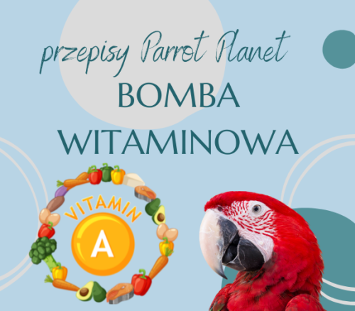PAPUZIA Kuchnia ParrotPlanet- BOMBA WITAMINY A - Autorski Przepis Adzioszki z Parrot Disaster