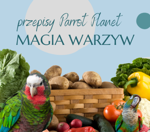 PAPUZIA Kuchnia ParrotPlanet- MAGIA WARZYW - Autorski Przepis Adzioszki z Parrot Disaster