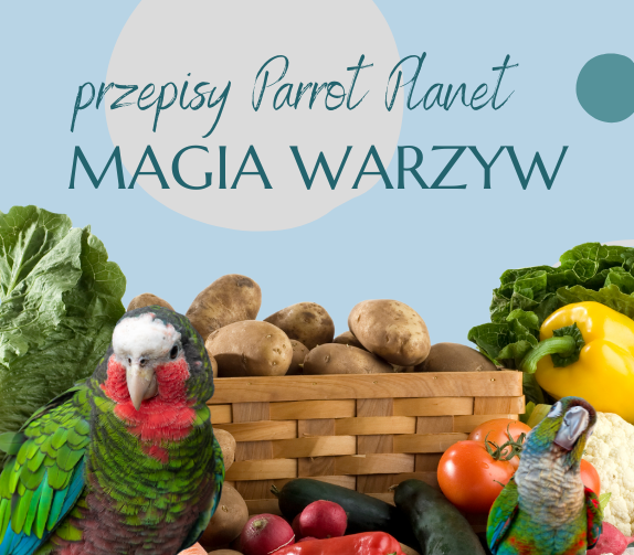PAPUZIA Kuchnia ParrotPlanet- MAGIA WARZYW - Autorski Przepis Adzioszki z Parrot Disaster