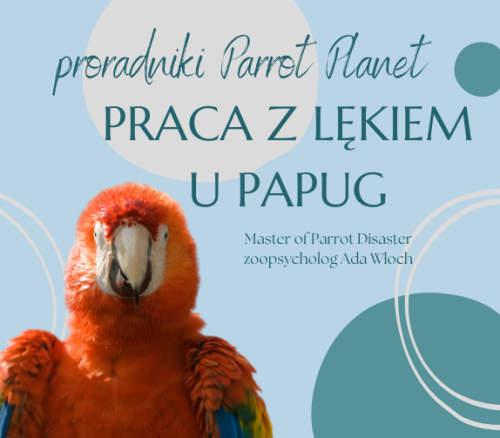 Poradnik ParrotPlanet - PRACA Z LĘKIEM U PAPUG - Poradnik Początkującego Papuziarza