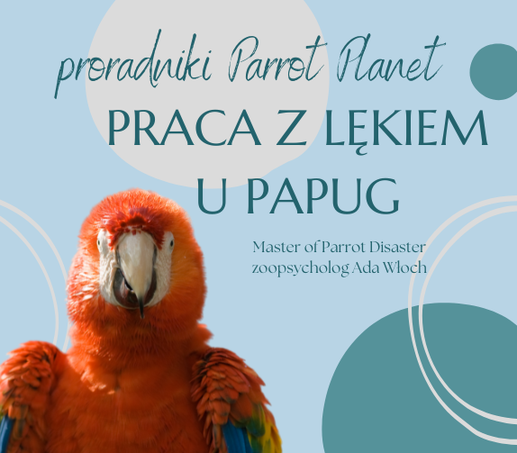 Poradnik ParrotPlanet - PRACA Z LĘKIEM U PAPUG - Poradnik Początkującego Papuziarza