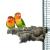 Naturalna żerdź, z kory dębu korkowego rozmiar S - dla małych papug od ParrotPlanet.pl
