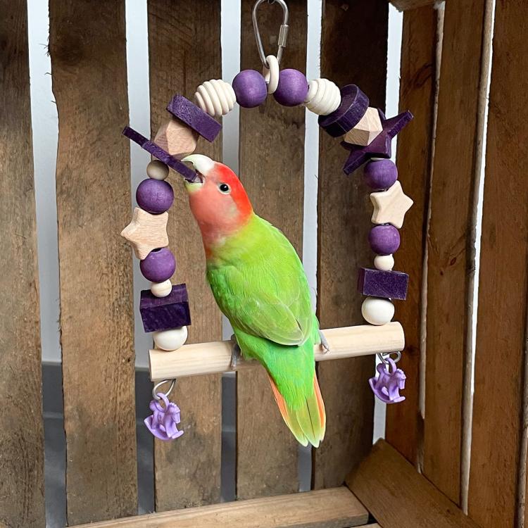 Lawendowa Huśtawka - dla średnich i małych papug 15 x 19 x 5 cm od ParrotPlanet.pl