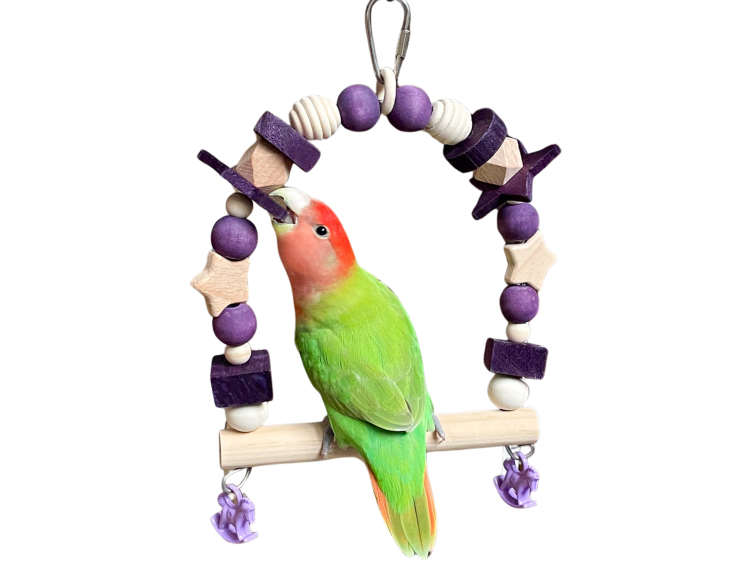 Lawendowa Huśtawka - dla średnich i małych papug 15 x 19 x 5 cm od ParrotPlanet.pl