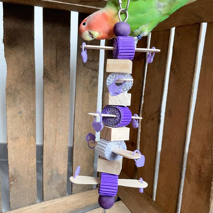 Woody Whirl - drewniana wisząca zabawka dla małych i średnich papug | ok. 30 x 9 x 9 cm od ParrotPlanet.pl