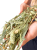 JR FARM Canary Seeds w kłosach do chrupania dla wszystkich papug 20g  od ParrotPlanet.pl