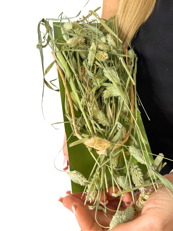 JR FARM Canary Seeds w kłosach do chrupania dla wszystkich papug 20g  od ParrotPlanet.pl