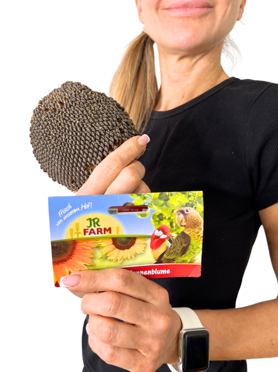 JR FARM słonecznik na sznurku - czyli zdrowa przekąska dla wszystkich papug 30g od ParrotPlanet.pl