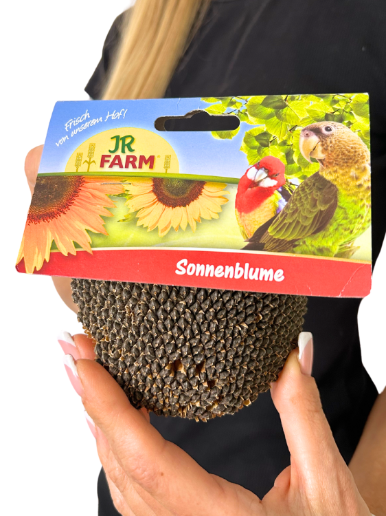 JR FARM słonecznik na sznurku - czyli zdrowa przekąska dla wszystkich papug 30g od ParrotPlanet.pl