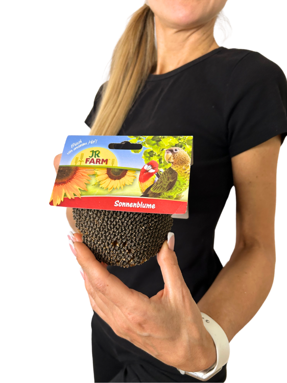 JR FARM słonecznik na sznurku - czyli zdrowa przekąska dla wszystkich papug 30g od ParrotPlanet.pl