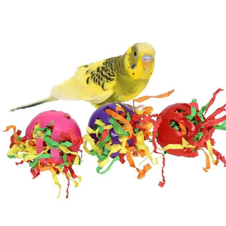 Magiczne Piłeczki - zabawka do łapki dla wszystkich papug od ParrotPlanet.pl