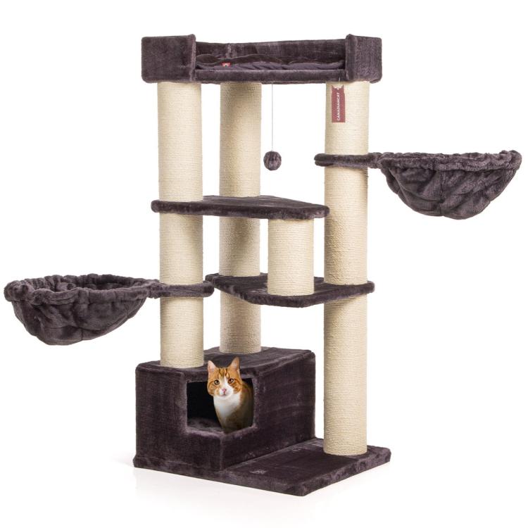VanCouver | Canadaian Cat | antracyt | XXL od ParrotPlanet.pl