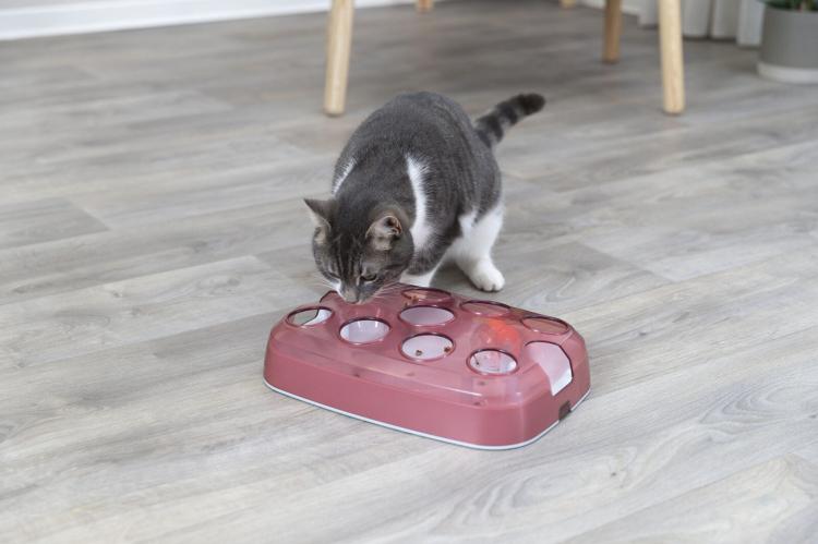 Cat Activity Soccer, zabawka edukacyjna, dla kota, plastik, 33 x 23,5 cm od ParrotPlanet.pl