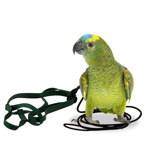 AVIATOR taille S bleu – harnais de vol pour perroquets de 190 à 450 g ParrotPlanet.fr