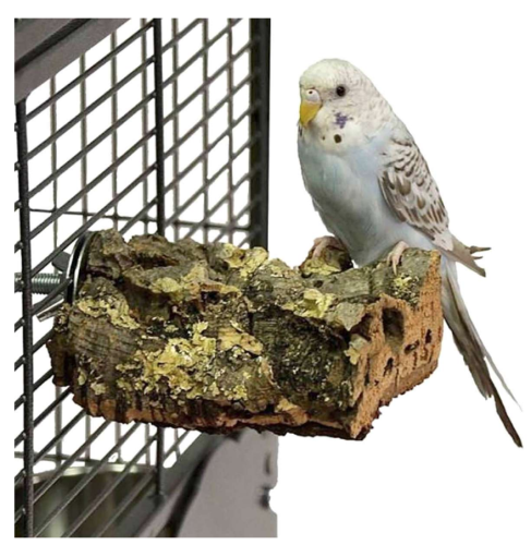 Naturalna żerdź, z kory dębu korkowego rozmiar s - dla małych i średnich papug od ParrotPlanet.pl