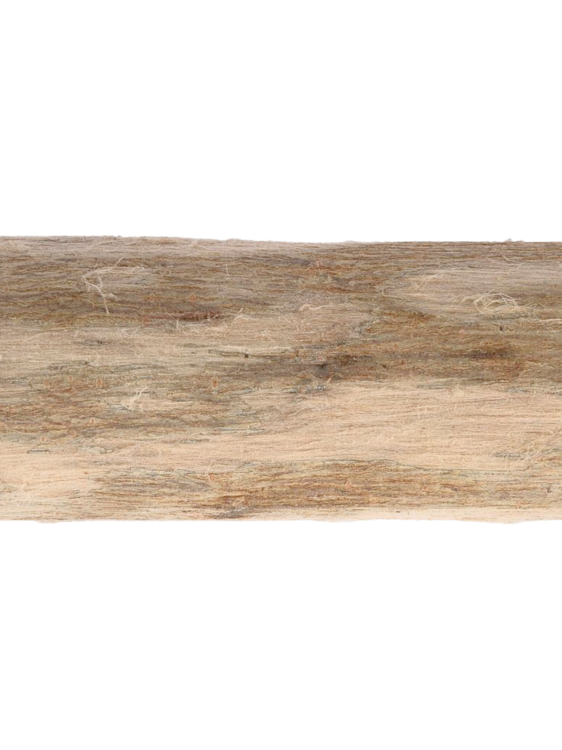 Drewniana żerdź dla papug z wierzby - roz. L - średnica ok.3-4, długość ok.30 cm od ParrotPlanet